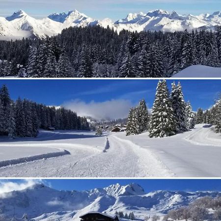 studio cabine Praz de Lys Taninges Esterno foto