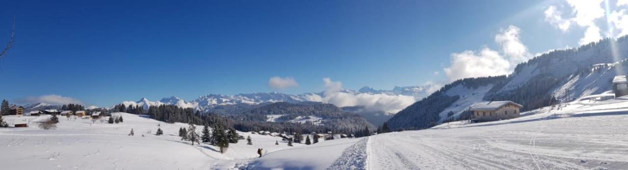 studio cabine Praz de Lys Taninges Esterno foto
