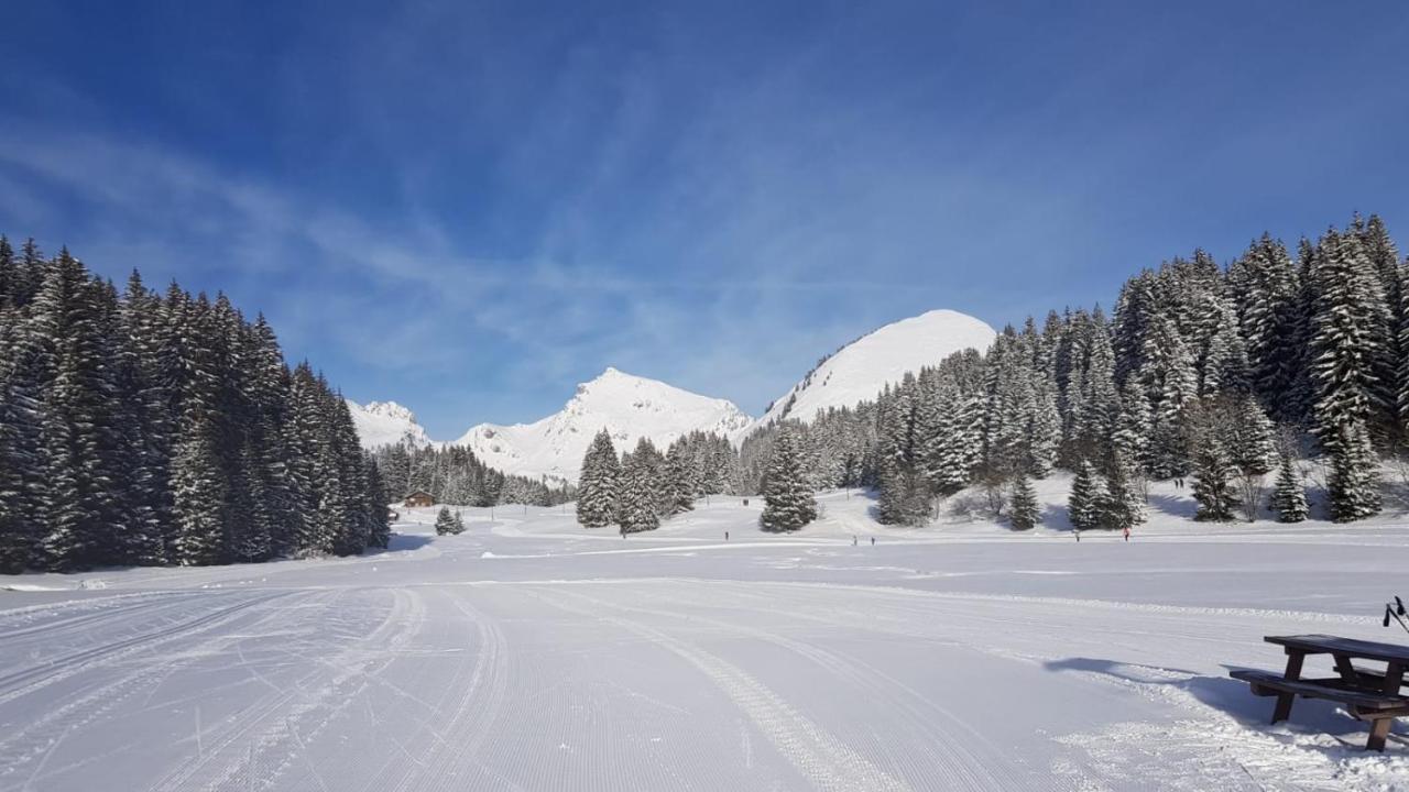 studio cabine Praz de Lys Taninges Esterno foto