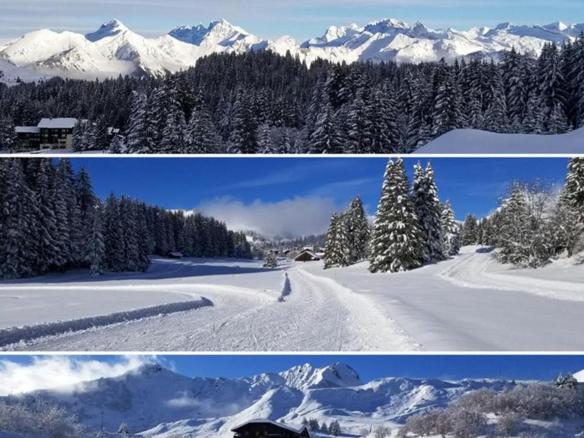 studio cabine Praz de Lys Taninges Esterno foto