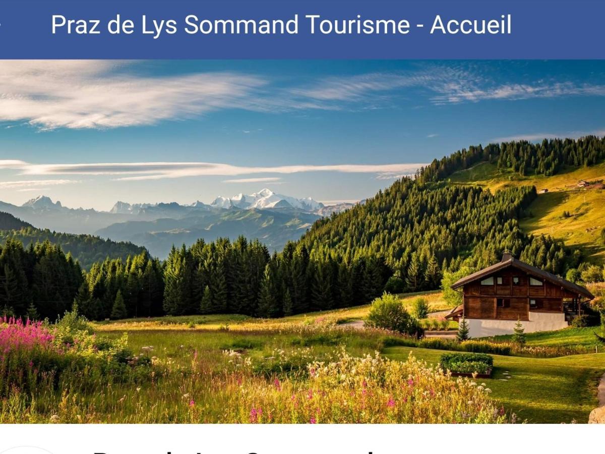 studio cabine Praz de Lys Taninges Esterno foto